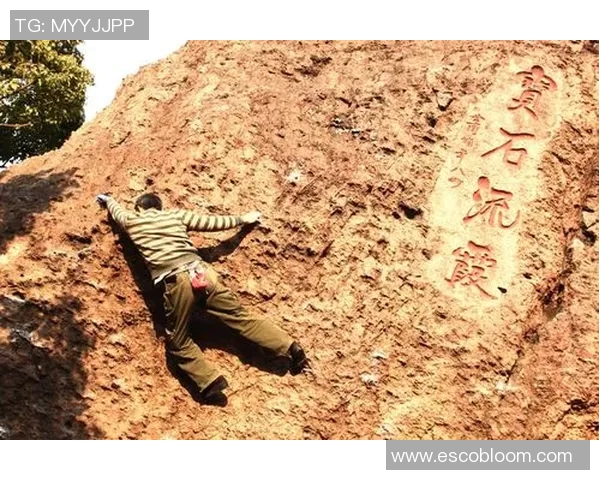 杭州攀岩队进攻策略分析与比赛表现评估的全面探讨