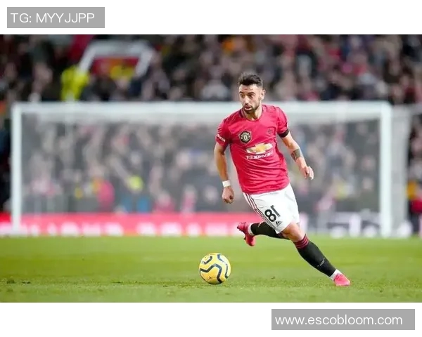 上海乒乓球队的崛起之路：从默默无闻到欧锦赛舞台的辉煌历程