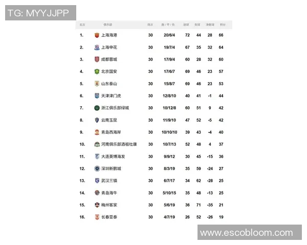 上海足球队在杯赛积分榜上以60分稳居第一名展现强劲实力