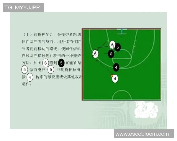 广州篮球队在欧锦赛中的默契配合与战术分析